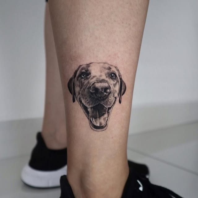 Animal
