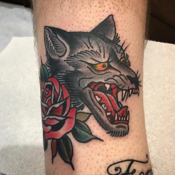 Animal, Tiger