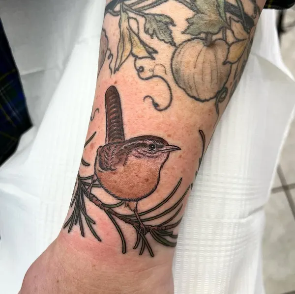 Animal