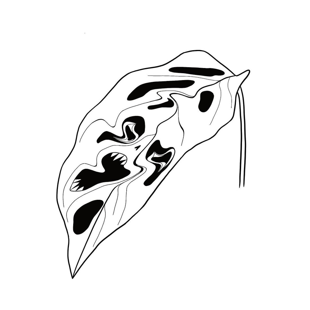 plantsnpokes