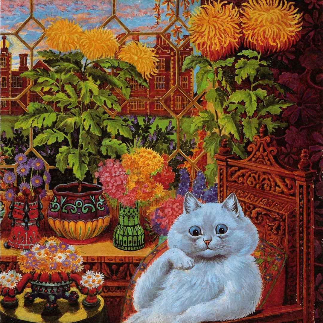 Animal, Tiger
