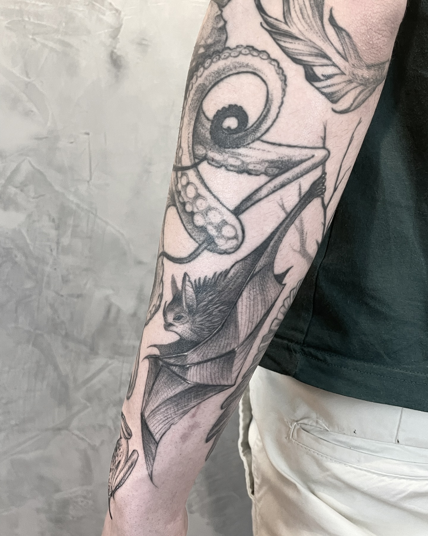 leo_marsiglia