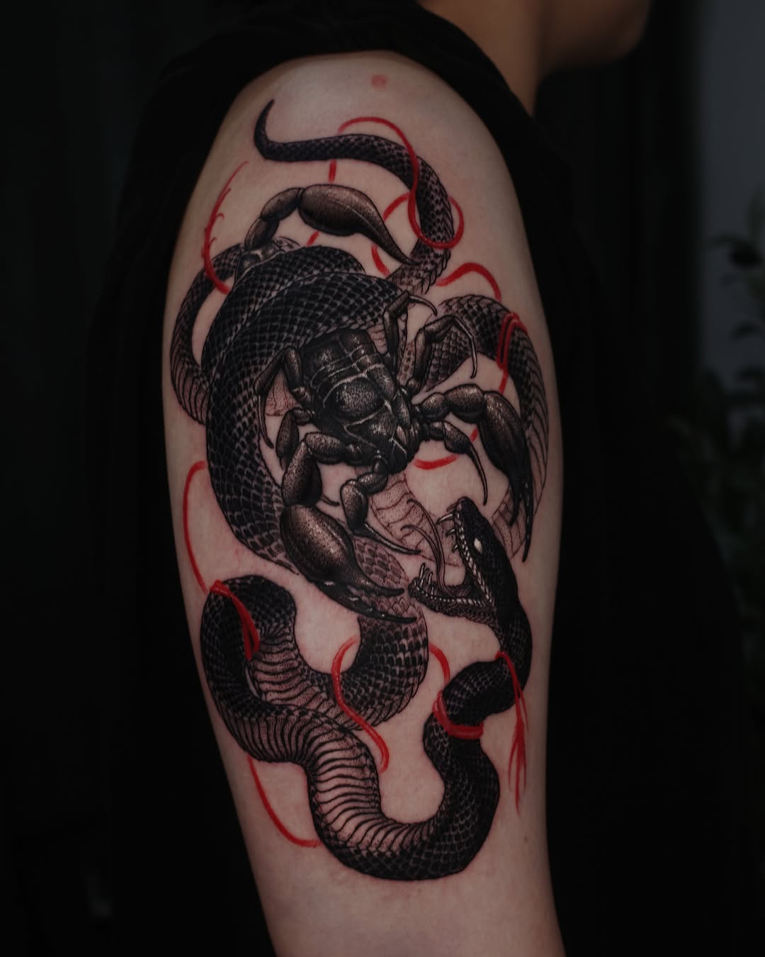 Snake, Animal