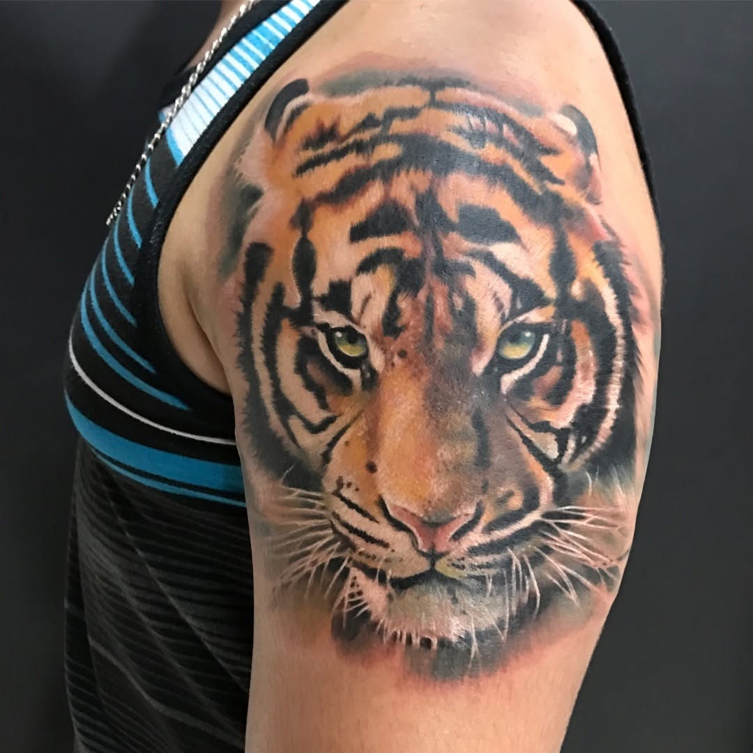 Tiger