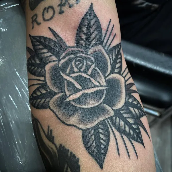 Flower, Rose