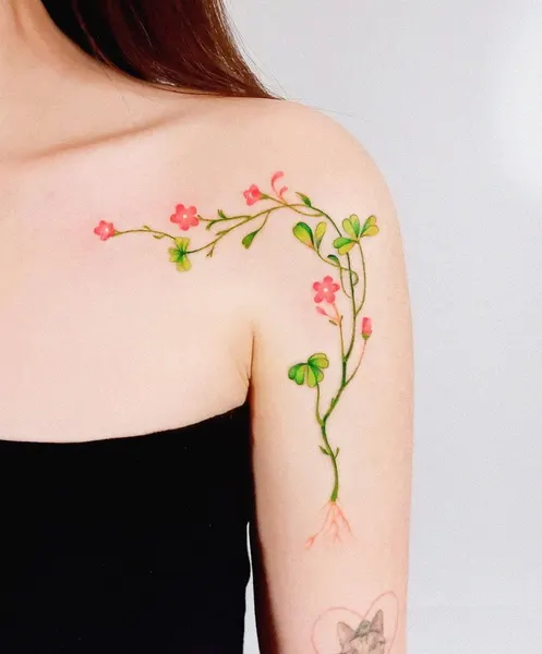 Flower, 목련, 벚꽃, 꽃 배경