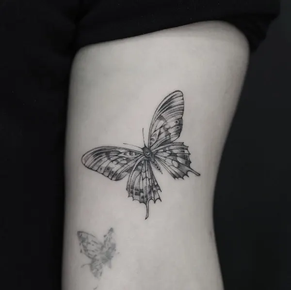 Animal, Nature