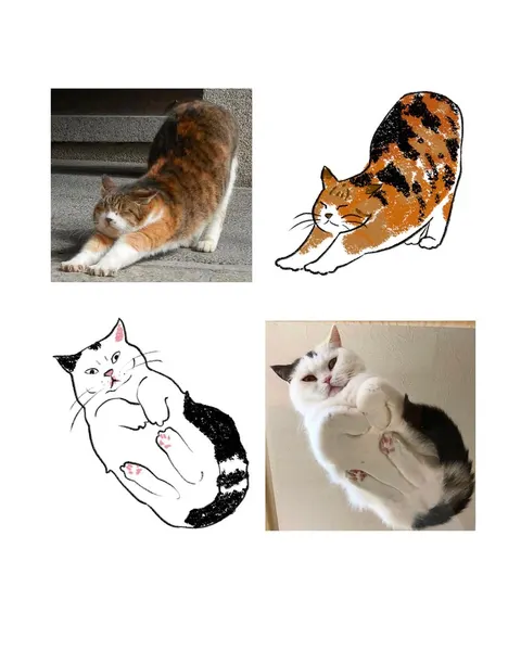 Animal