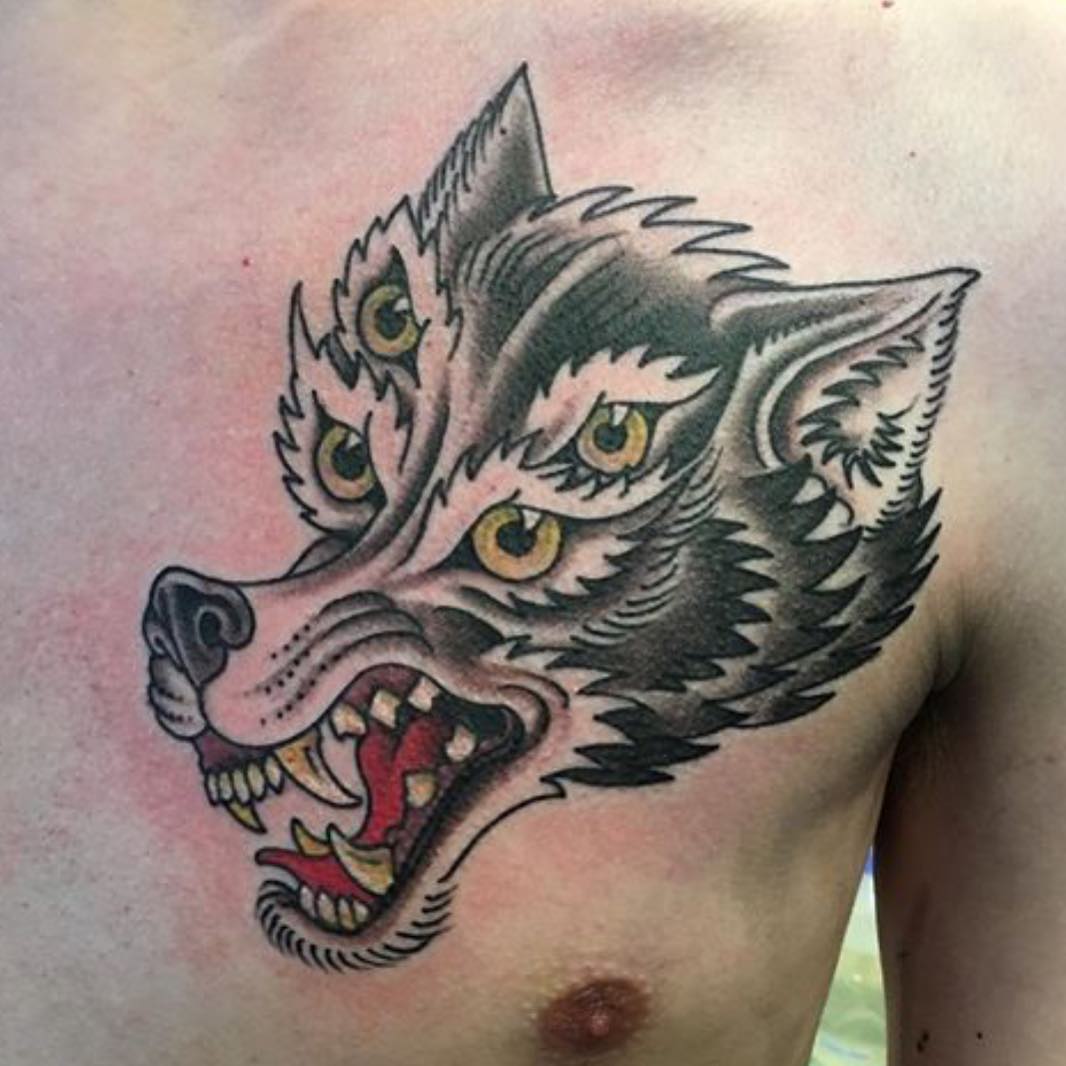 Tiger, Animal