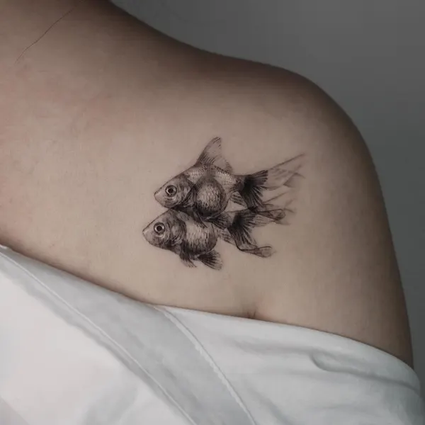 Animal, 물고기