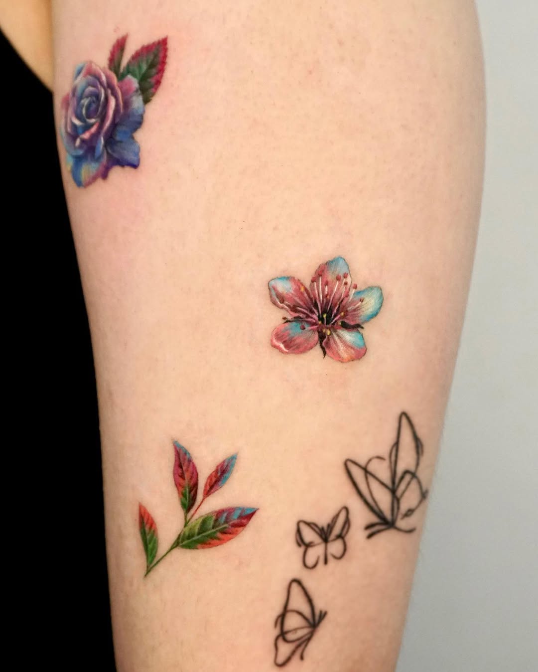 Flower, Rose
