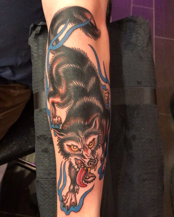Animal, Tiger