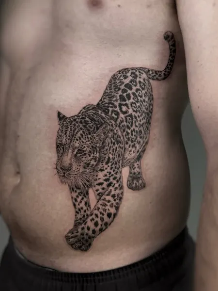 Animal, 표범, 재규어, 치타