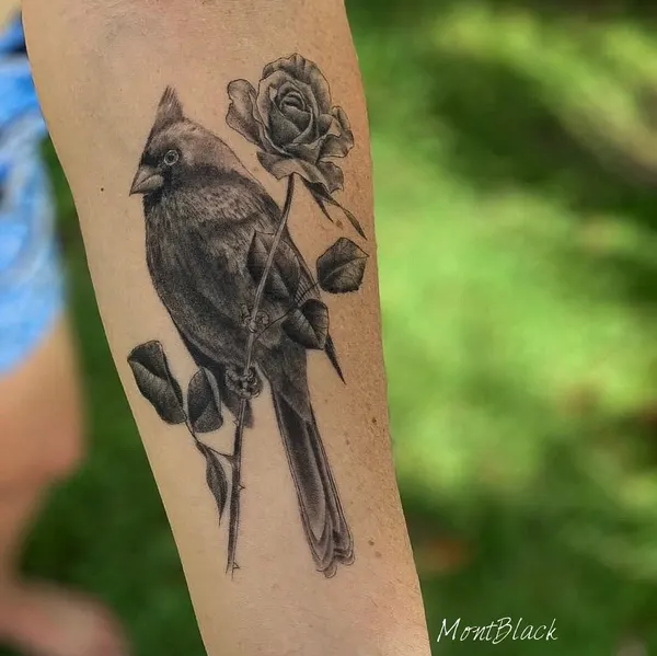 Flower, Animal, Nature