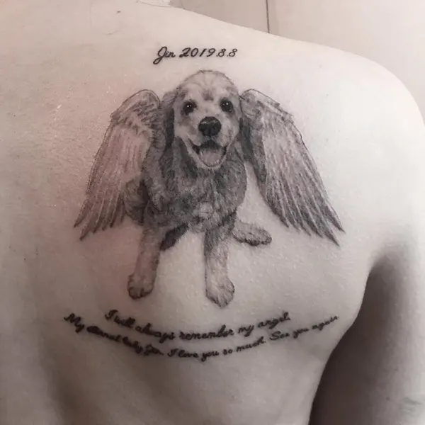 Animal