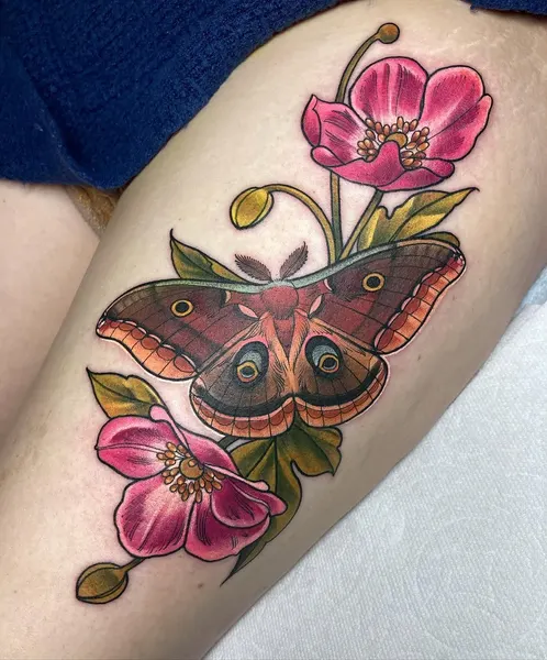 Animal, Nature, Flower