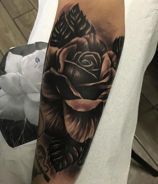 Flower, Rose