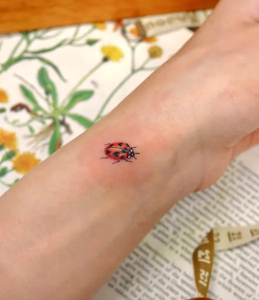 Mini, Flower, 무당벌레