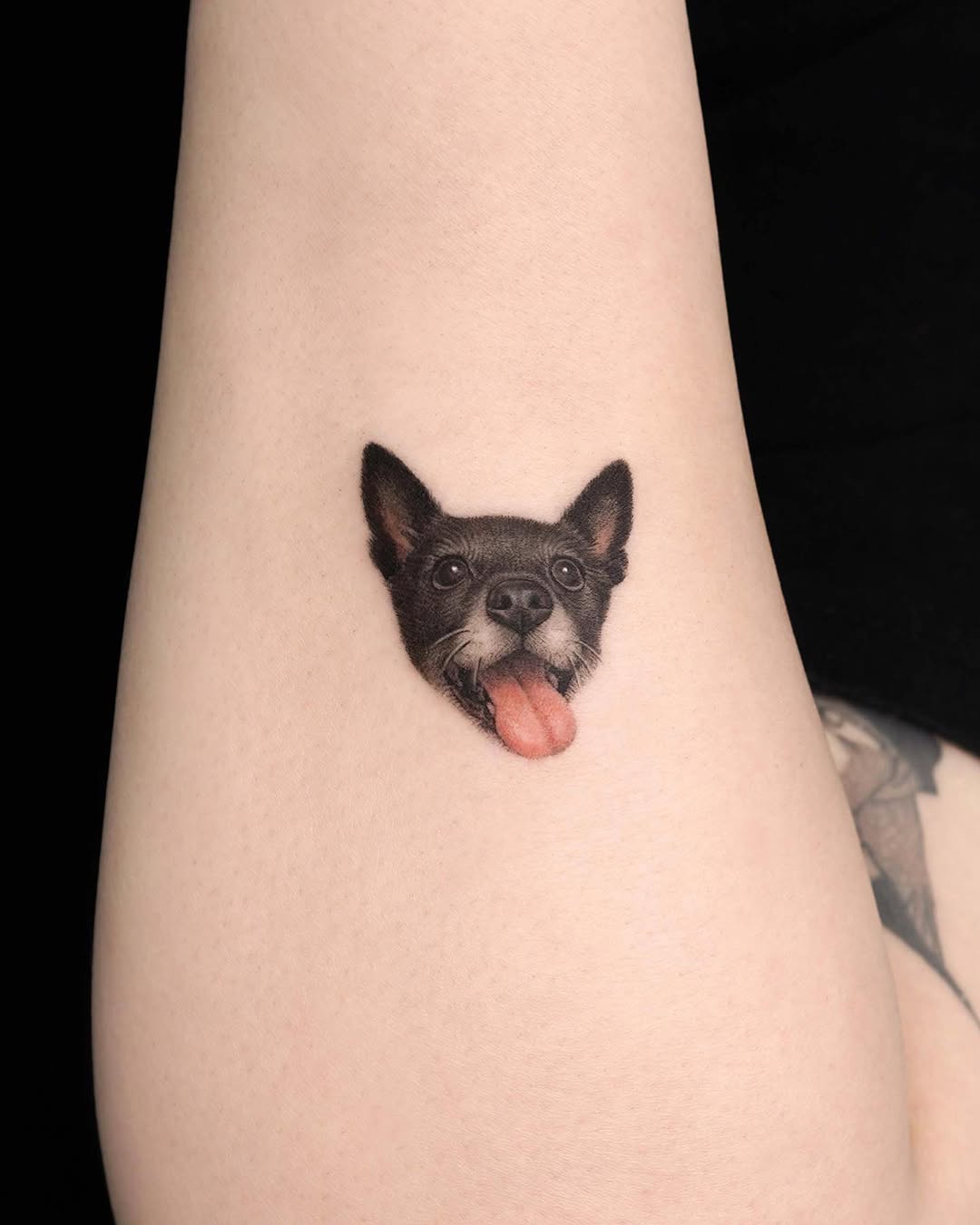 dorok.tattoo