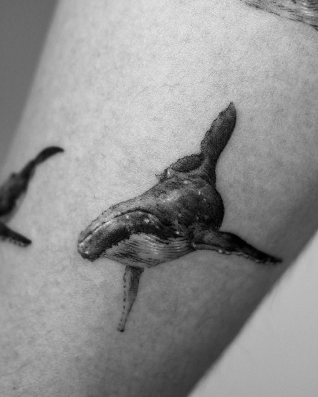 40.tatt