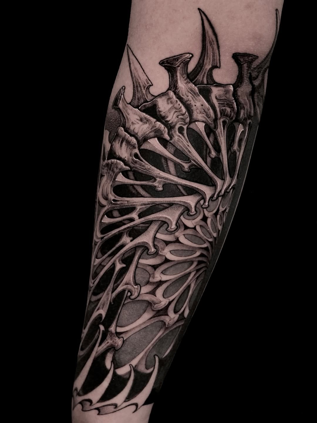 o_one_art
