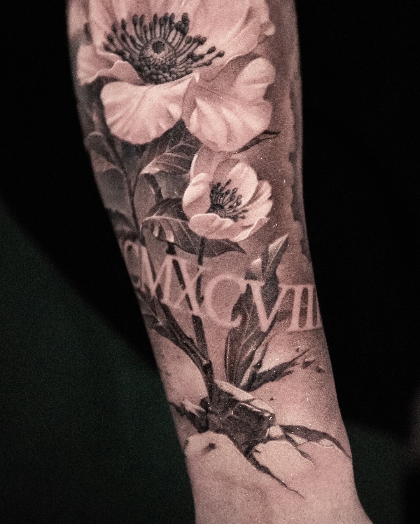 Flower, Rose