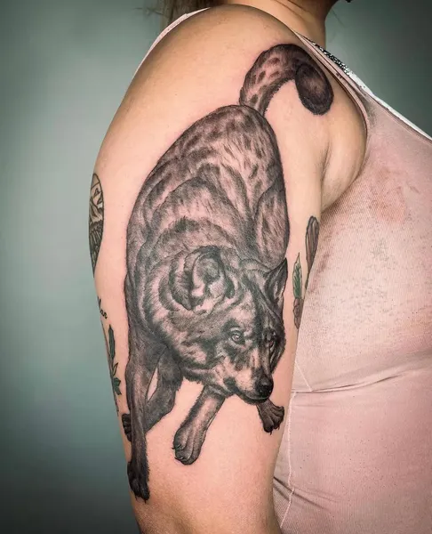 Tiger