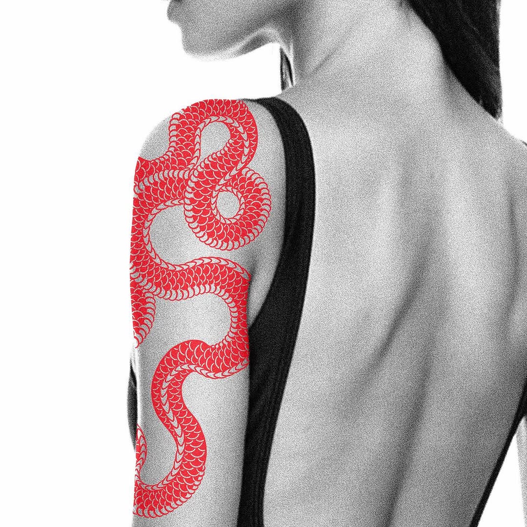 Snake, Dragon