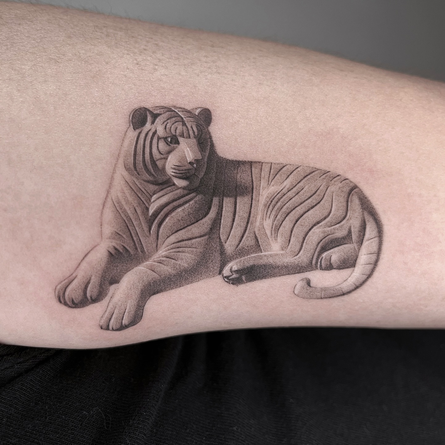 Animal