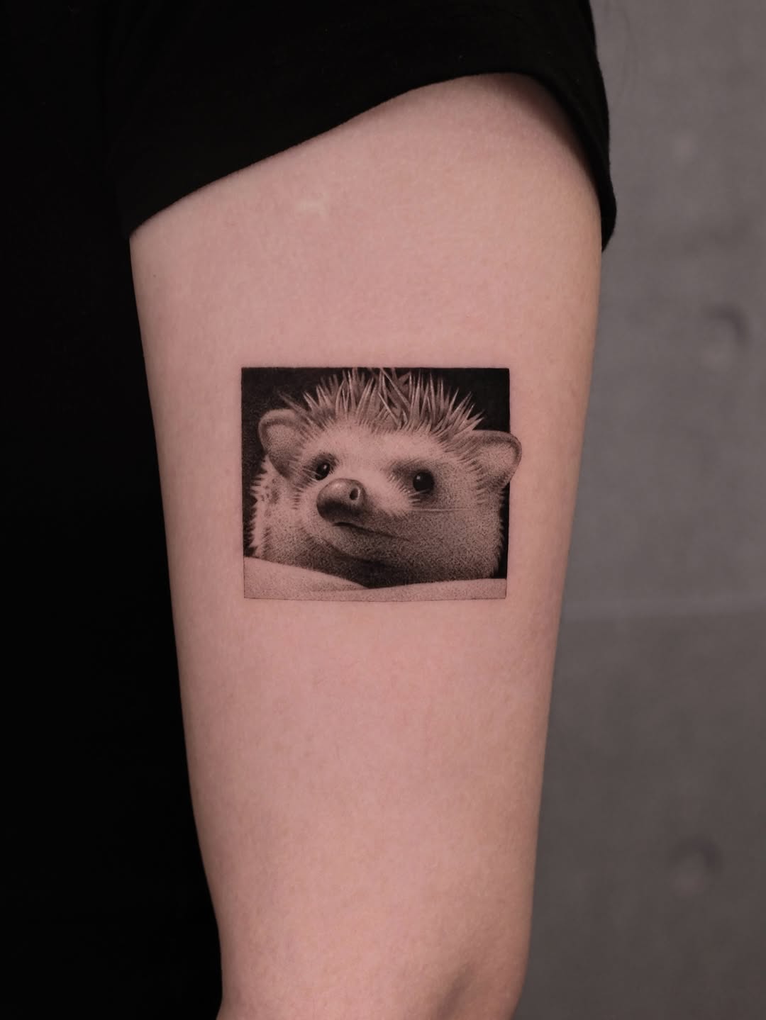 Mini, 고슴도치