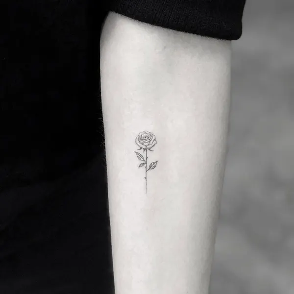 Flower, Rose