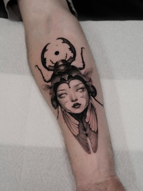 Animal, 매미, Nature