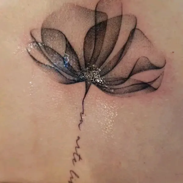 Flower, Nature