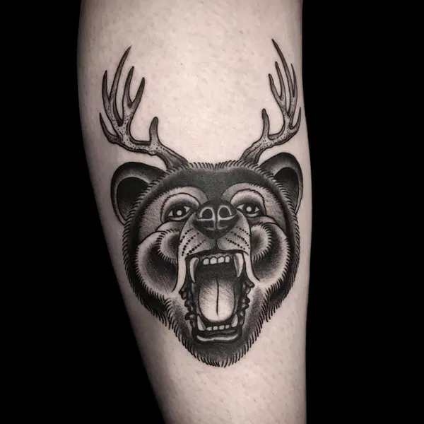 Animal, Tiger