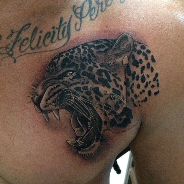 Animal