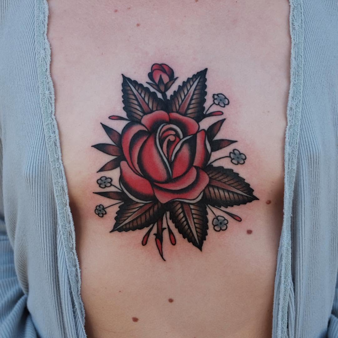 Flower, Rose, Nature
