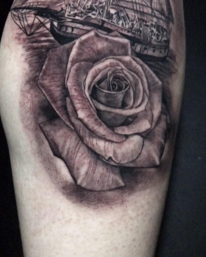 Flower, Rose