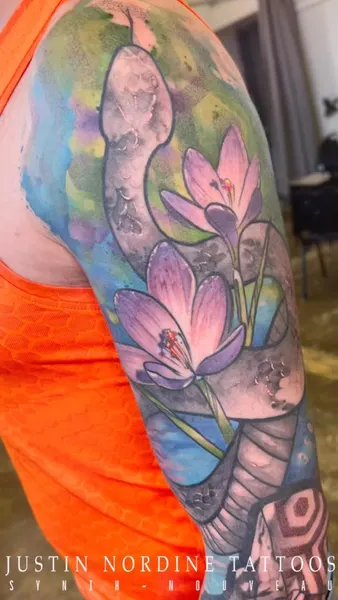 Flower, Rose