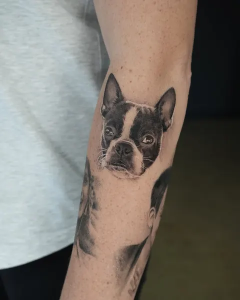Animal