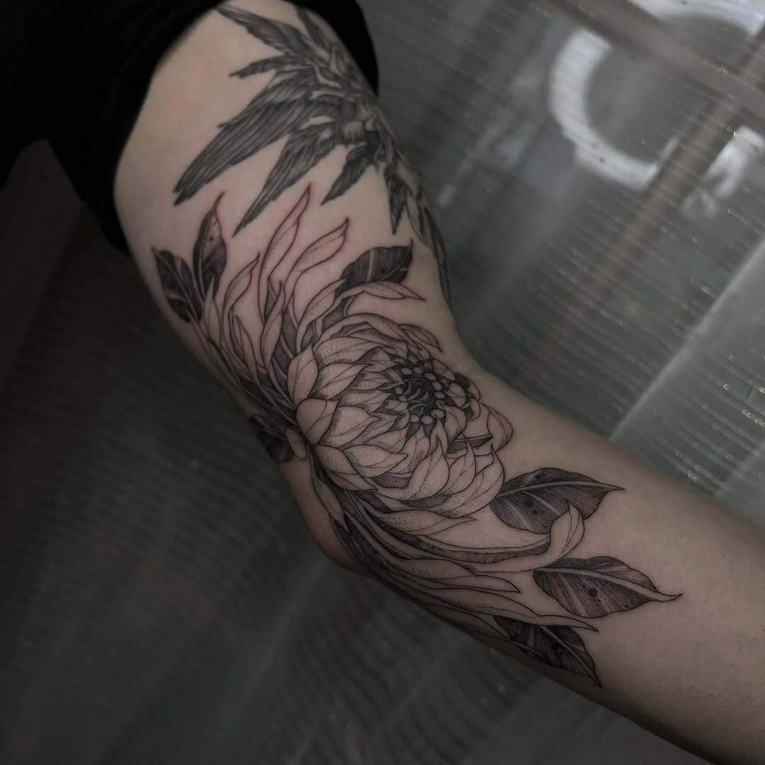 Flower, Rose