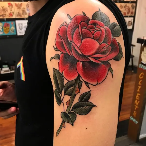 Flower, Rose, Nature
