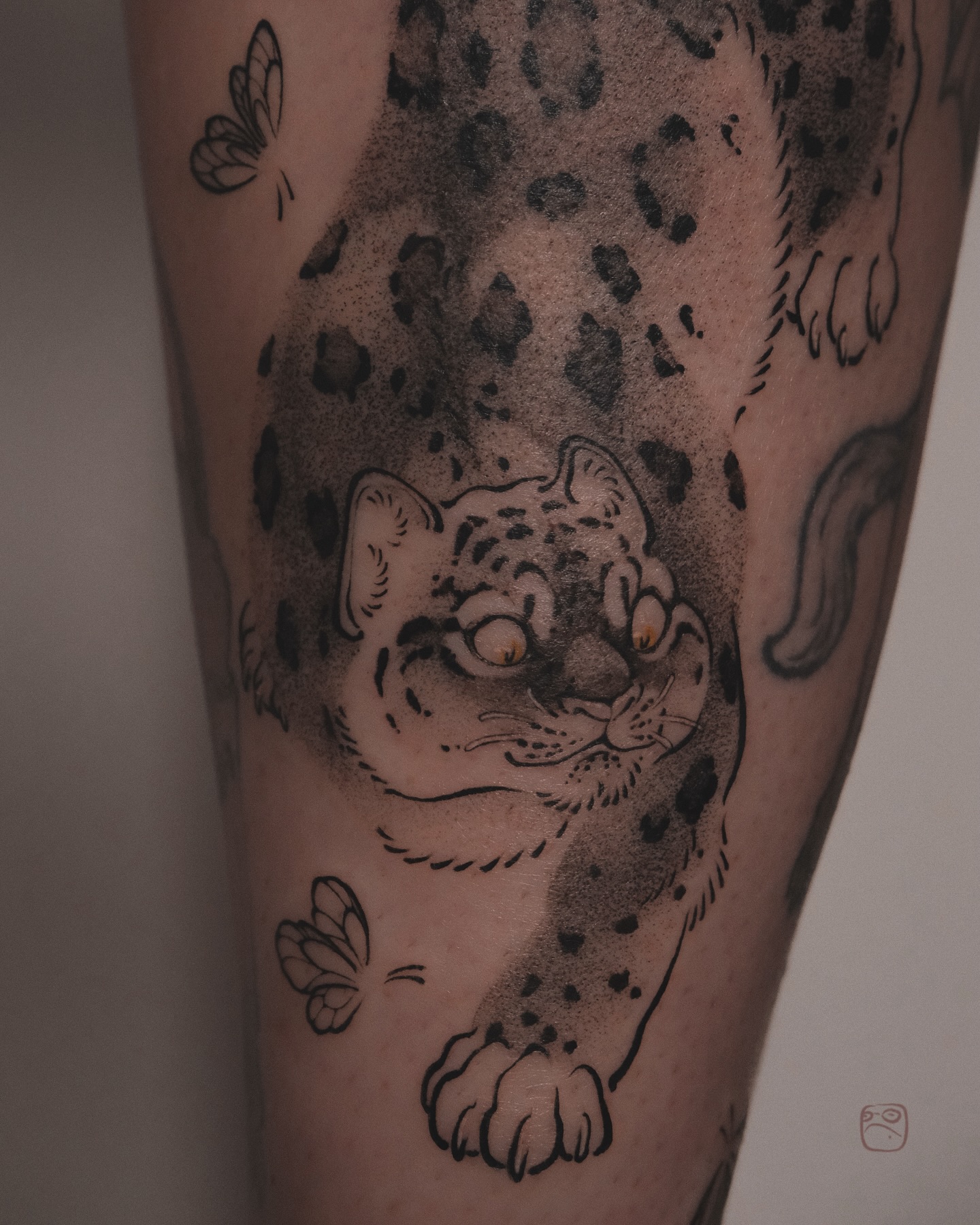 Tiger, Animal, 표범