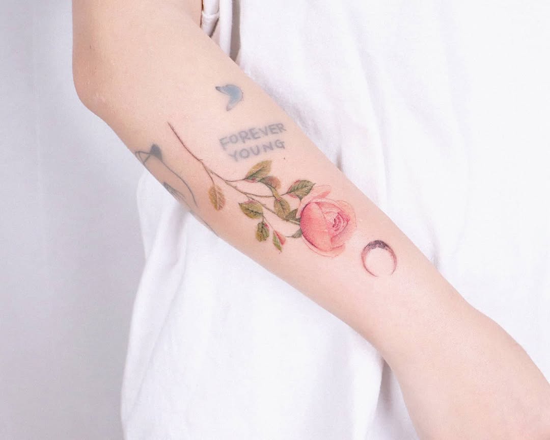 Flower, Rose