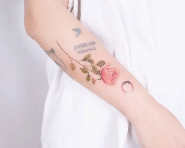 Flower, Rose