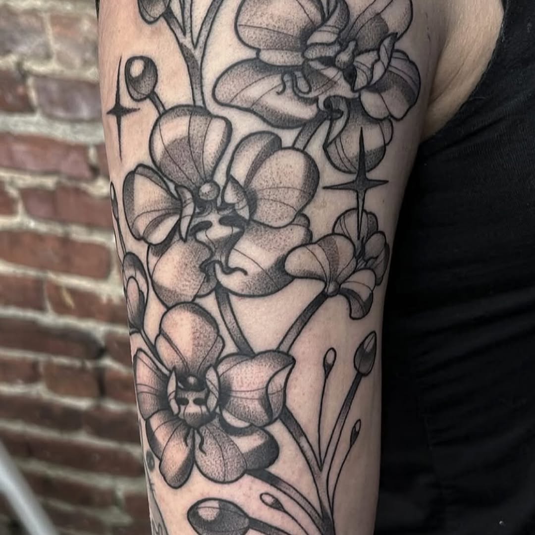 sarastigmata