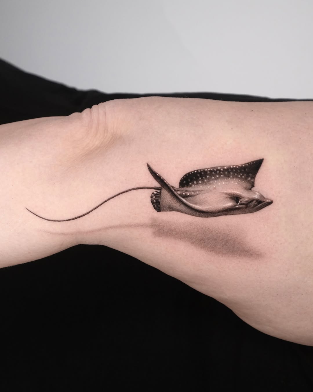 40.tatt