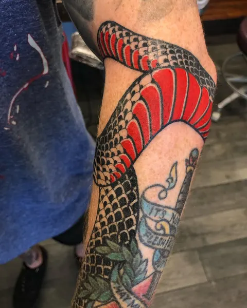 Dragon, 거북이, Snake