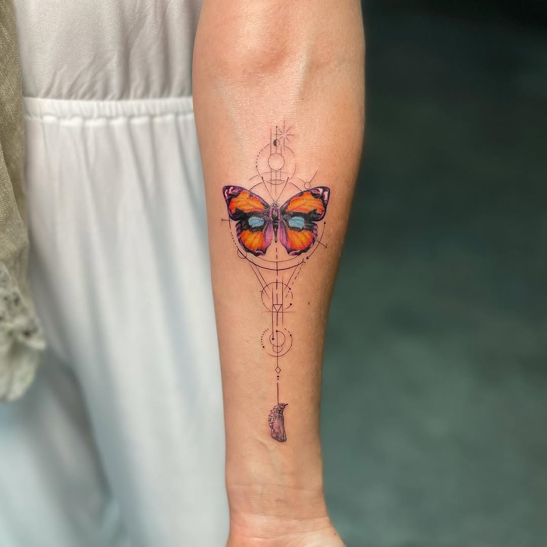 Nature, Animal, 무당벌레, 나방, 매미