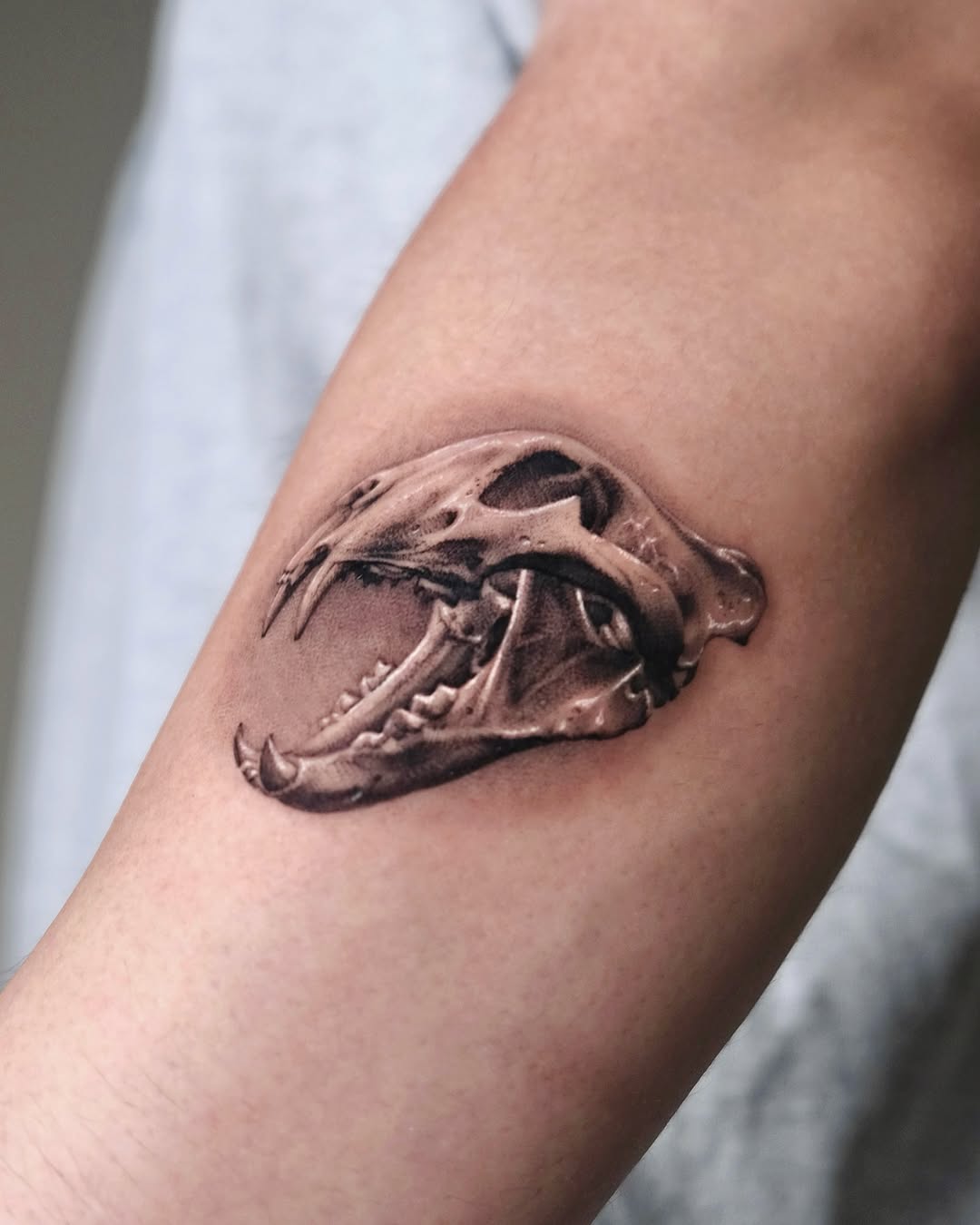 Skull