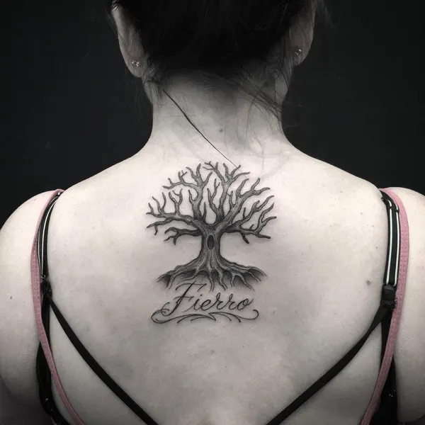 Nature, Flower, 뿌리, 나무, 소나무